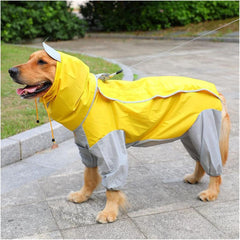 RainPup