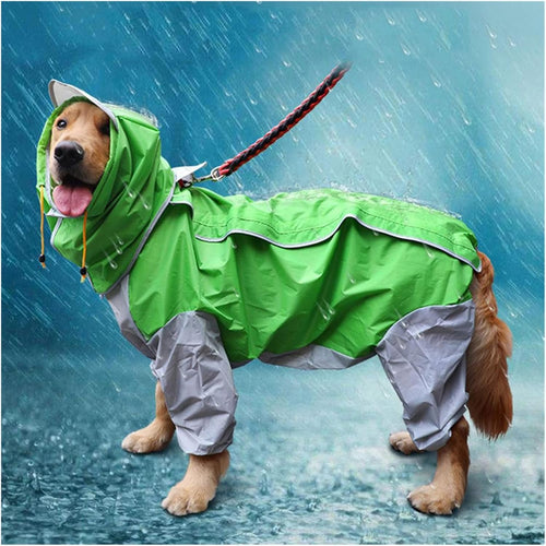 RainPup