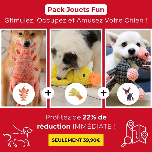 Pack Jouets Fun - Stimulez, Occupez et Amusez Votre Chien !