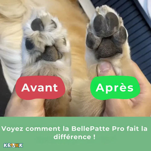 BellePatte Pro™ - Soin des pattes sans douleur